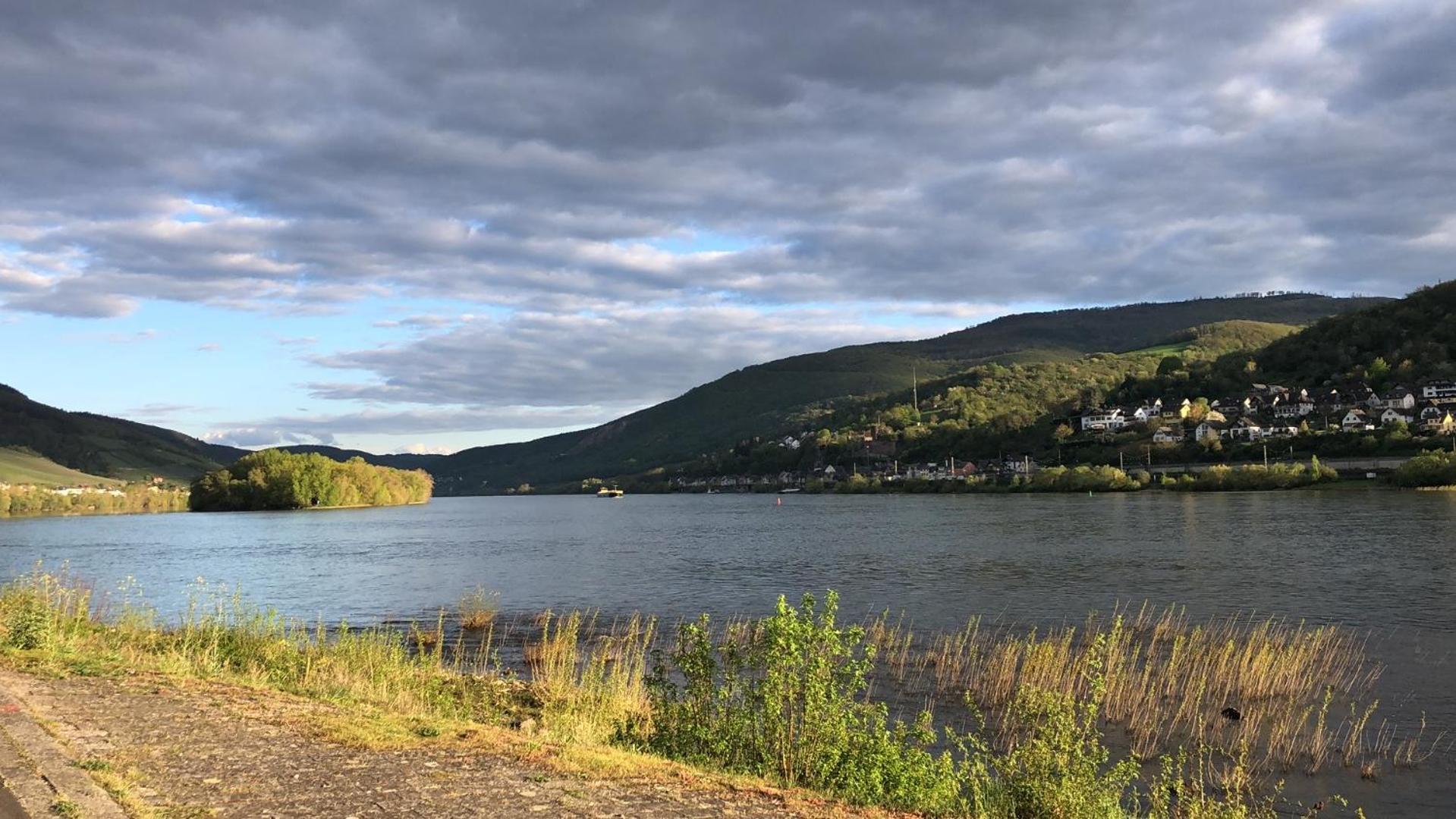 Rheinliebe Bistro Und Pension Лорх Экстерьер фото